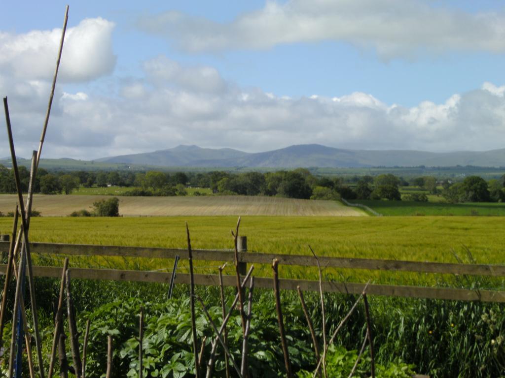 Westward Wallace Lane Farm מראה חיצוני תמונה